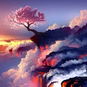 Meet your Posher, Henry